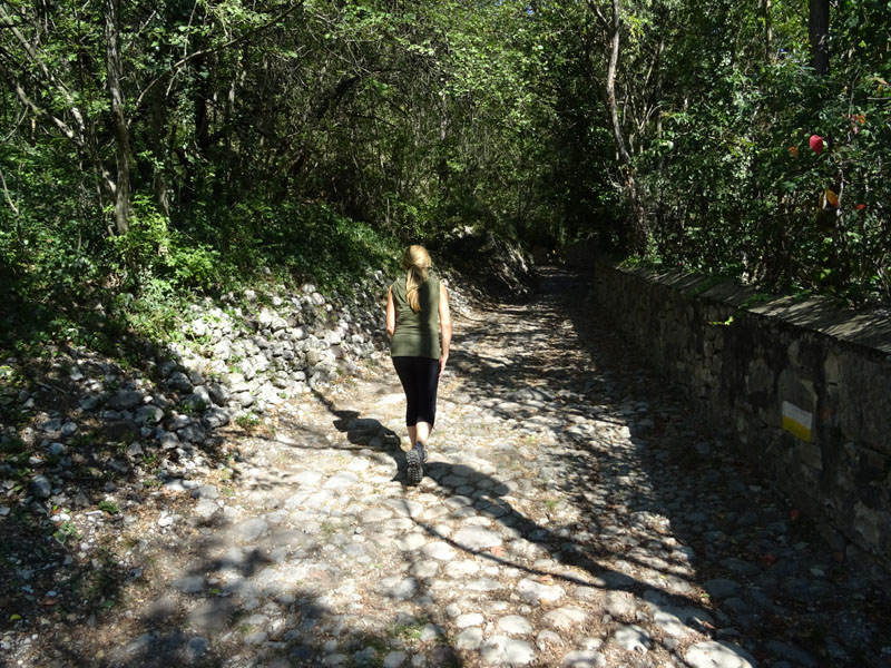 Giro del Monteghello -  sentiero F1 (Rovereto)